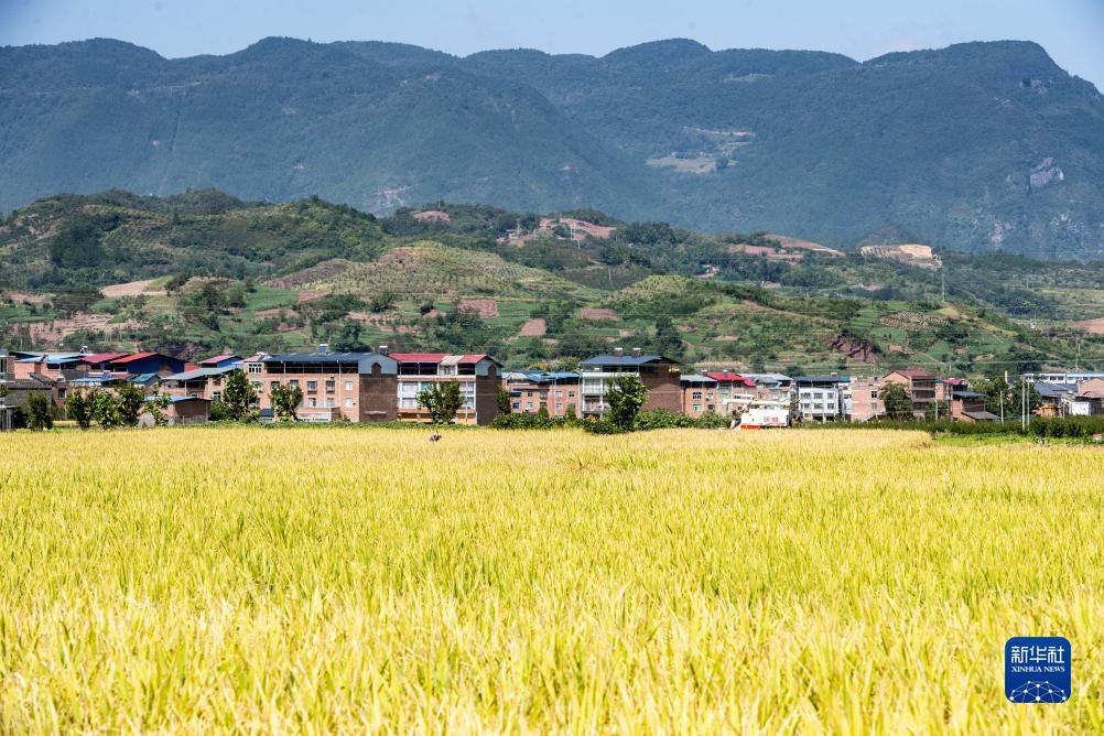 五龙争霸怎么玩